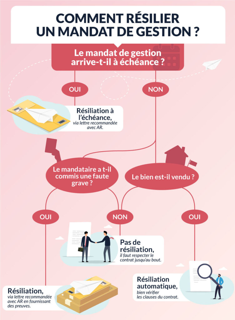 Infographie sur la résiliation d'un mandat de gestion locative